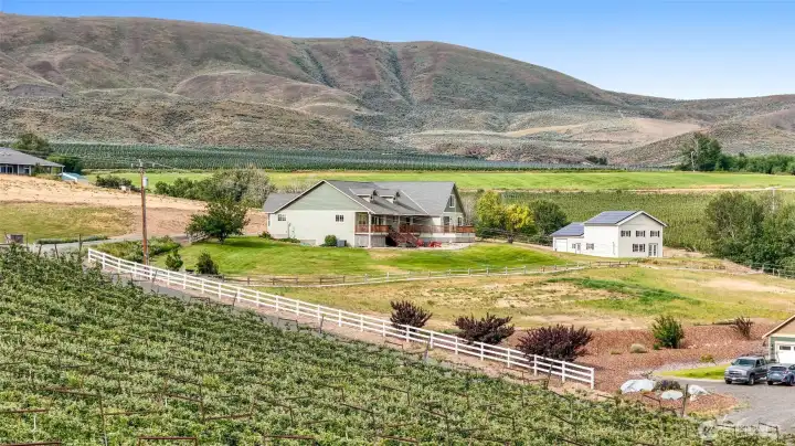 View of the property from the orchard.