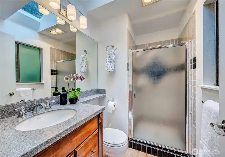 Primary Bathroom With Skylight and Updated.
