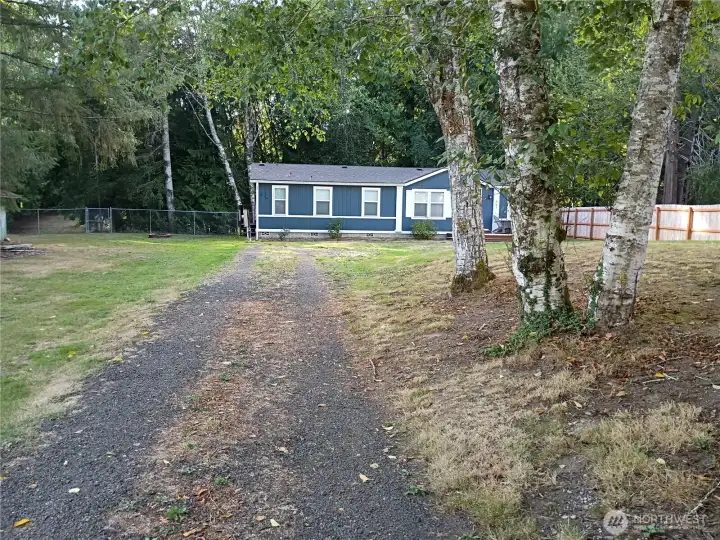 Driveway to the house
