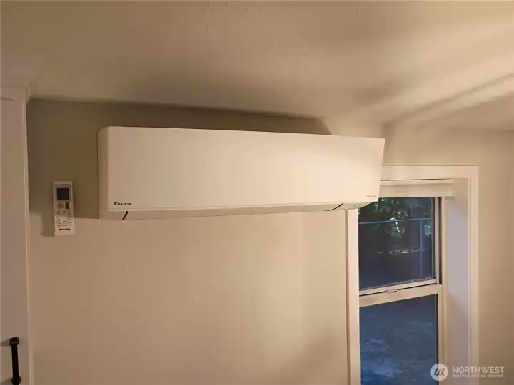 Daikin mini-split