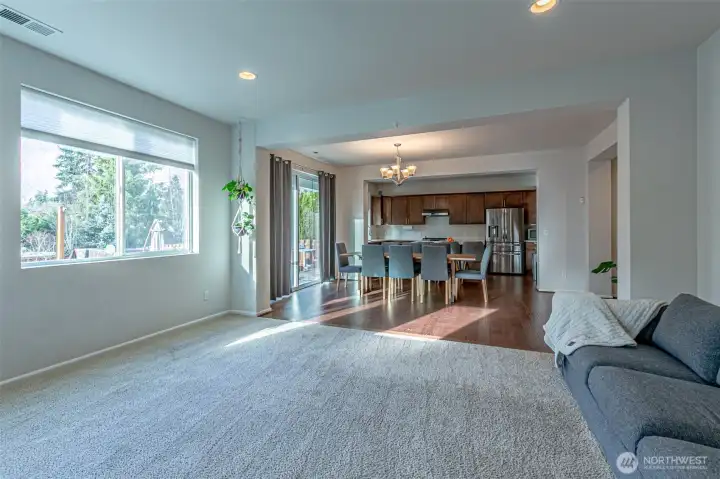 Extra large windows and extra wide sliding door