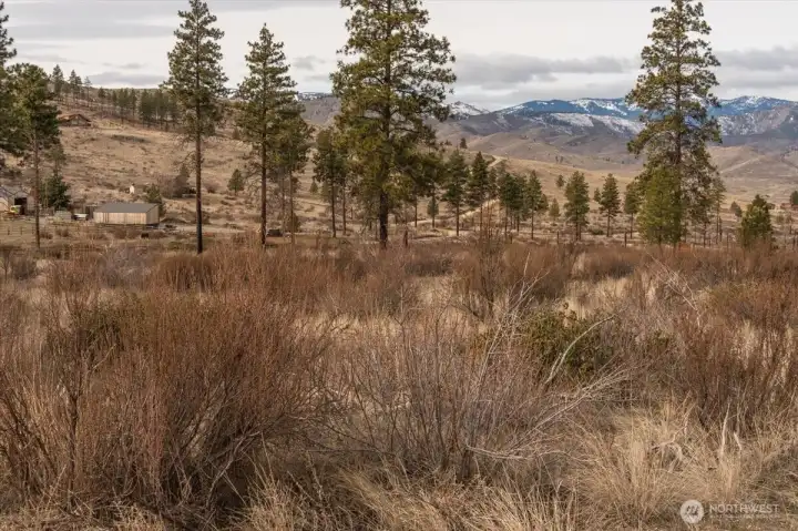 Flat land, low brush, and  trees throughout the property.