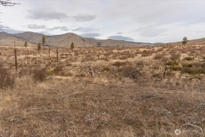 Open space ready to build or enjoy as is!