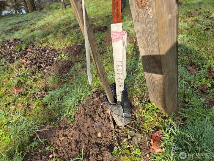 Property corners are in