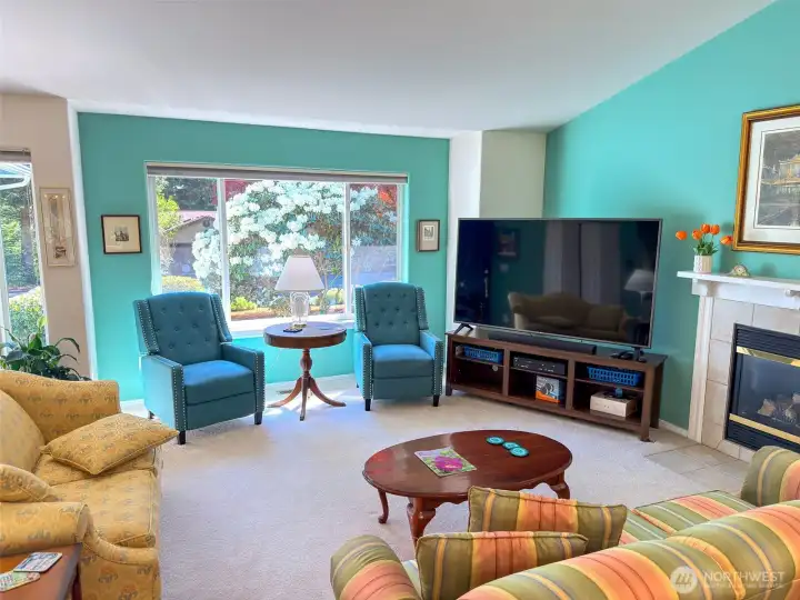 Great space to watch a ballgame or movie!