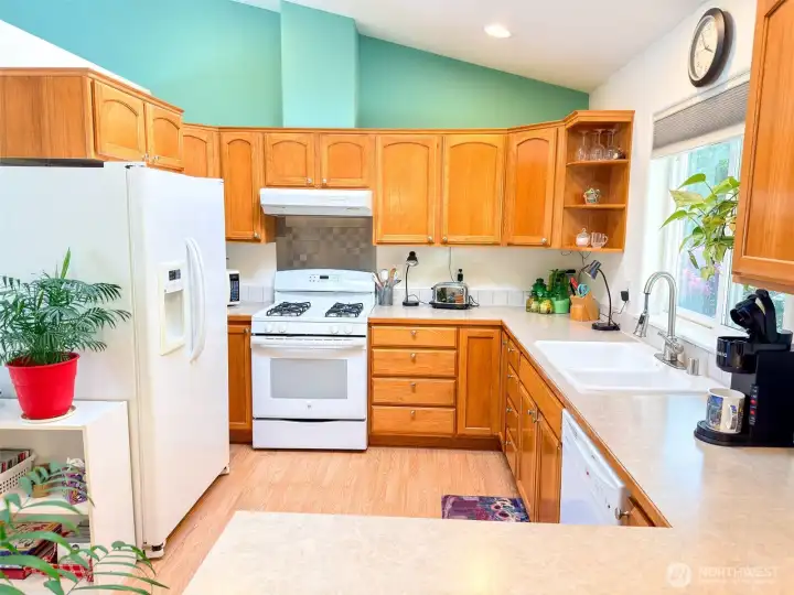 Well thought out with ample counter-space and storage.