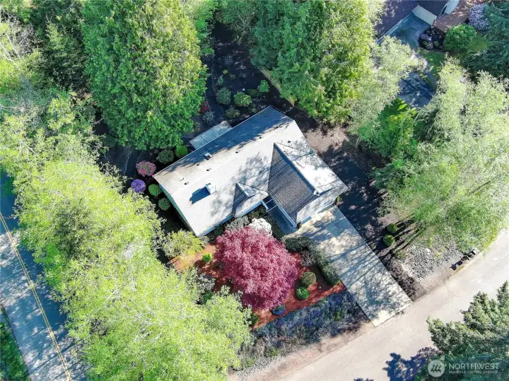 Nicely placed for privacy but still close to lovely neighbors!