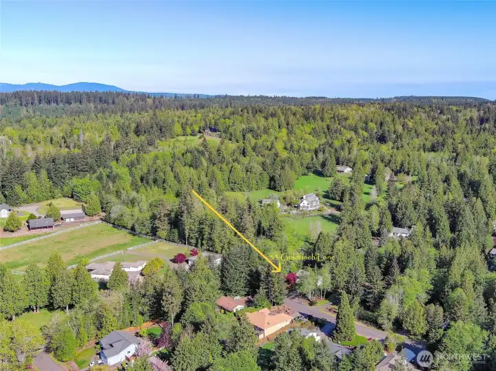 Looking west over the property...