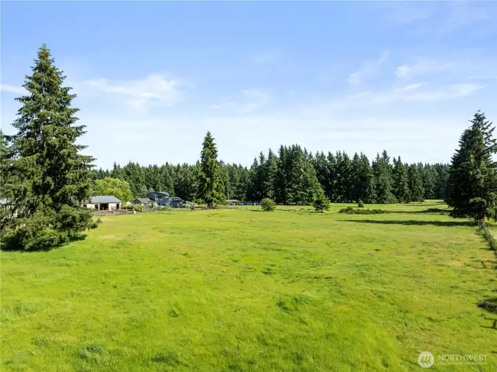 Perfect pasture ready for your animals