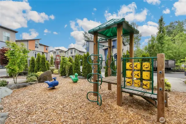 Common playground across the house