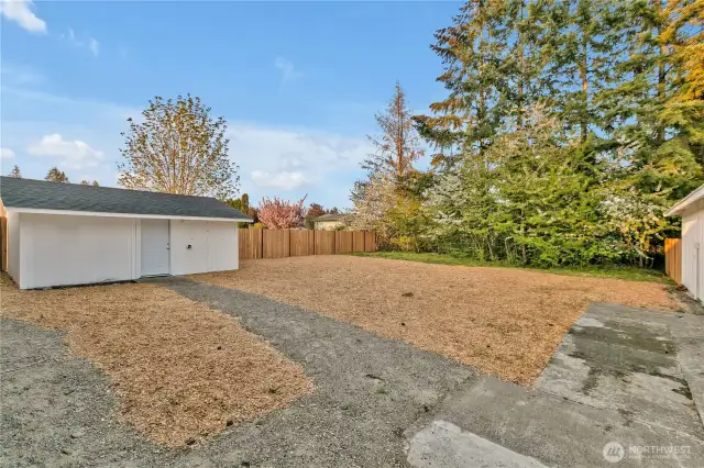 backyard and well house