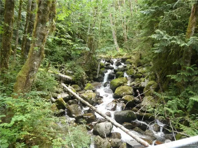 Road to your cabin winds past Bitter Creek w/cascading water right next to the road, especially dramatic after rain or snowmelt.