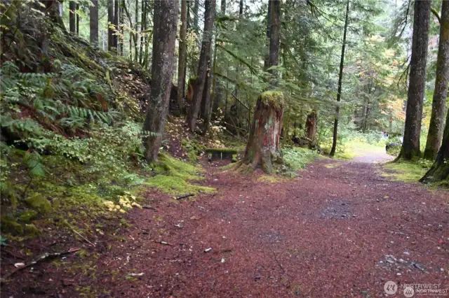 Private drive ~ just you & the wild!