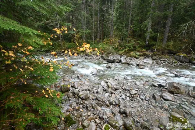 NO rooftops, no roads ~ just nature, trees & water views!