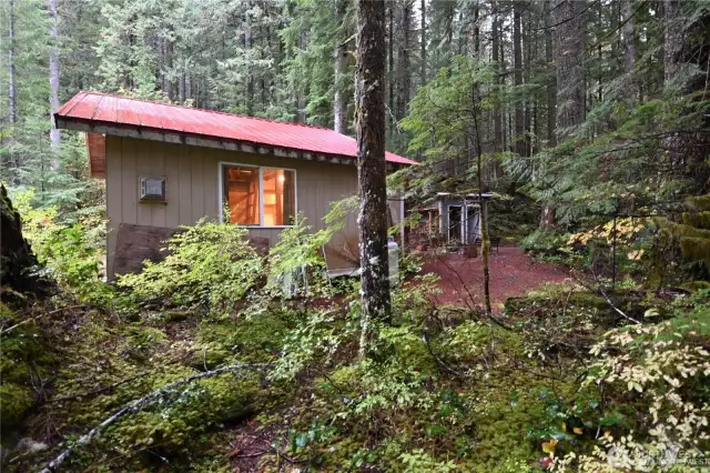 From the side you see how the cabin is truly part of the wooded landscape.