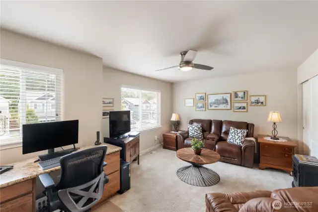 Large bedroom or bonus room