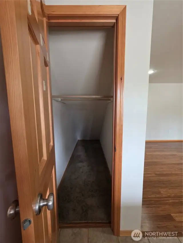Walk in Under Stairs Closet