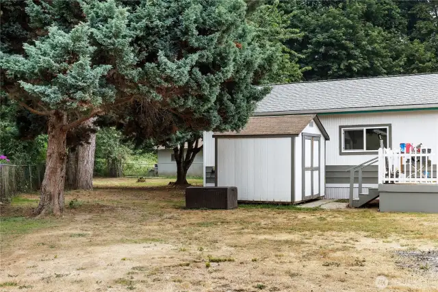 Fruit tree & hot tub in outside shed