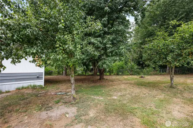 Almost ready for harvest