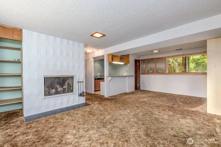 Lower level living space complete with wood burning fireplace and kichenette.