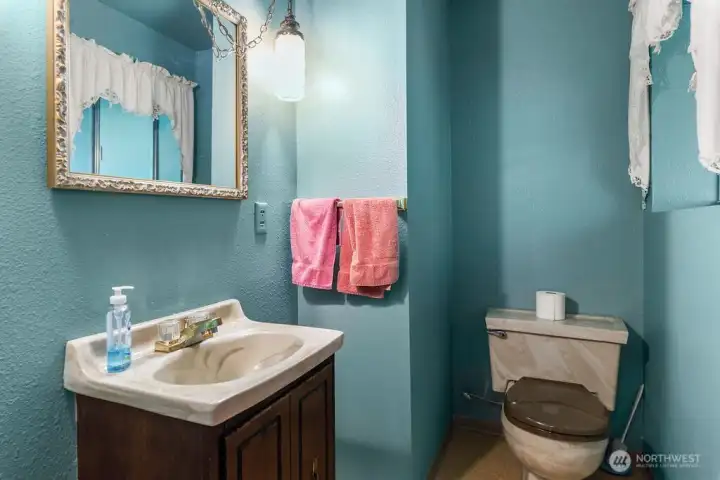 Half bath off of the lower level living room.