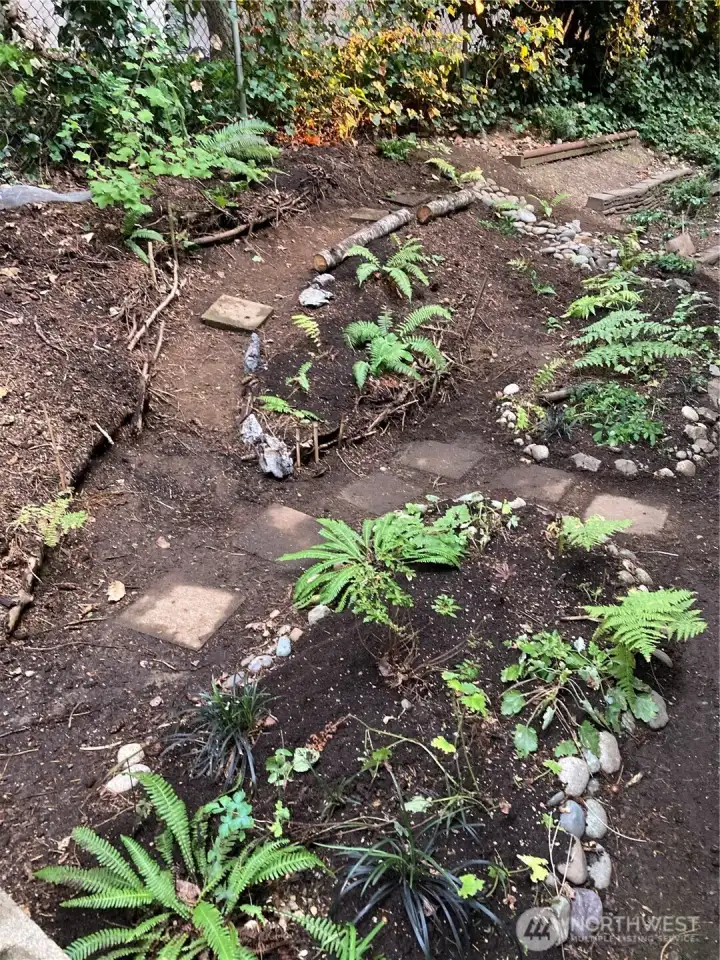 Back yard in Spring with native plantings