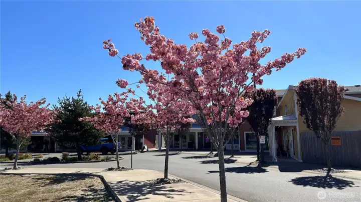 Shopping, dining and a market are just a few of the communities amenities.