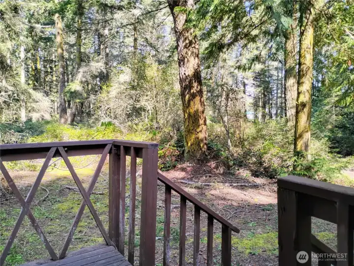From the front porch this is the view of your yard and the private driveway beyond.