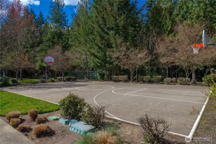 Neighborhood Sport Court!