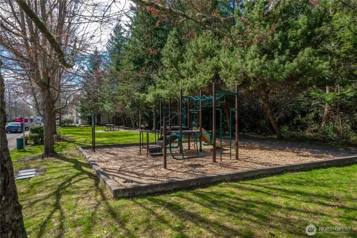 Neighborhood Park!