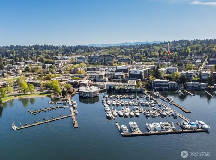 Live the Kirkland waterfront lifestyle just a few blocks from Brightwater!  Enjoy an abundance of parks, dining, shopping, marina and beaches.