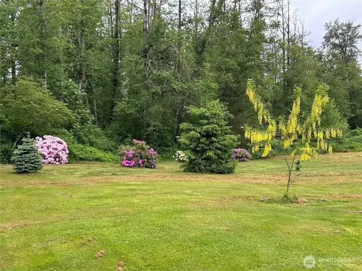 Numerous ornamental trees and bushes highlight the tranquil setting of the property.