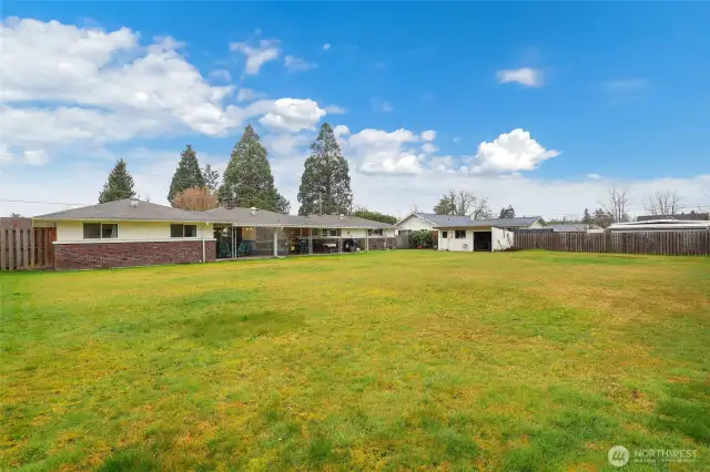 Back yard with garden shed