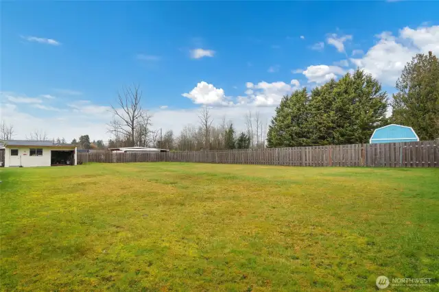 Back yard