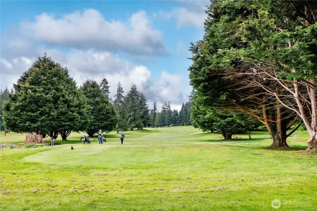 Tee time!
