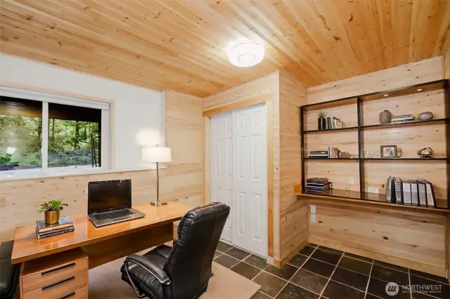 Downstairs Office