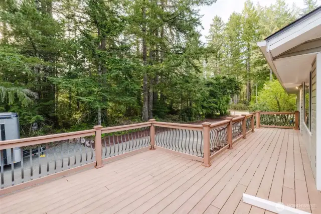 Huge Deck