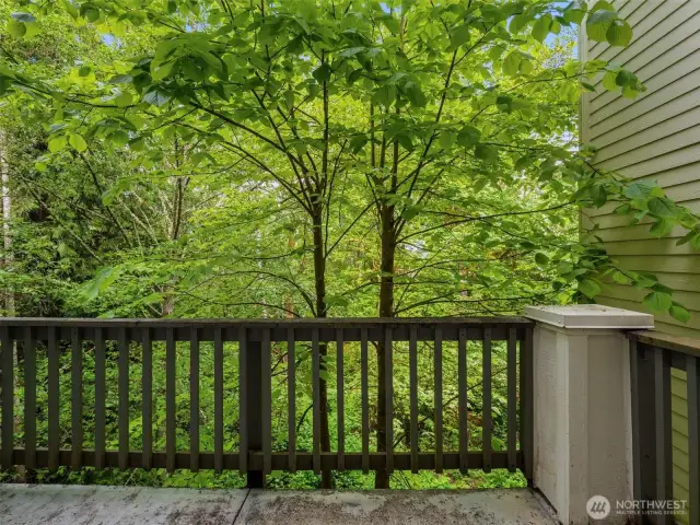 Beautiful views to private deck and terrace