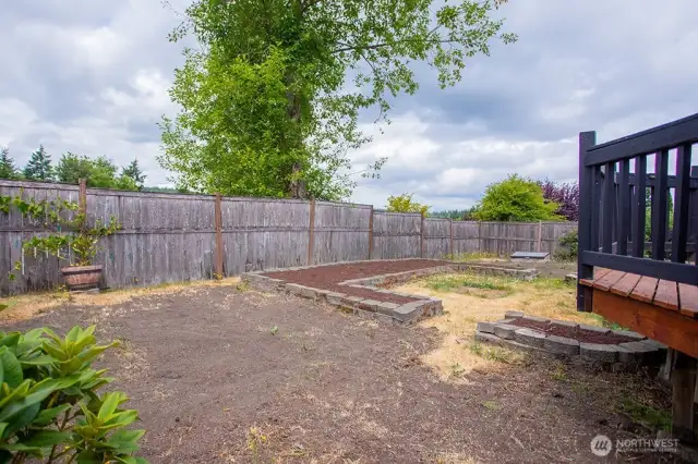 Back yard ready for a new start