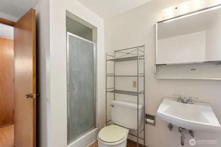 basement bathroom