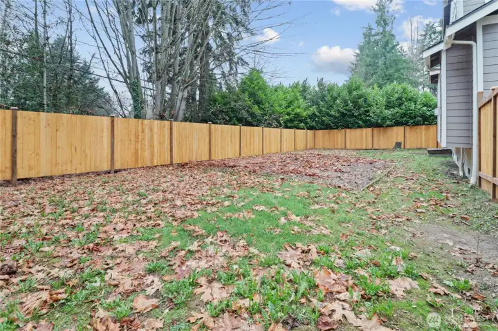 Spacious Backyard, Fully Fenced