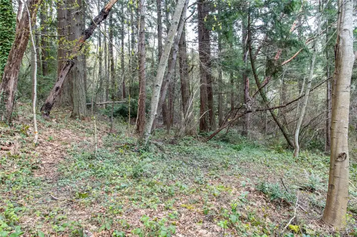 Private Lot 6 Fox Cove, last buildable Lot