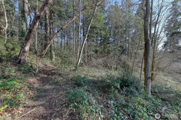 Lot 6, Last buildable lot