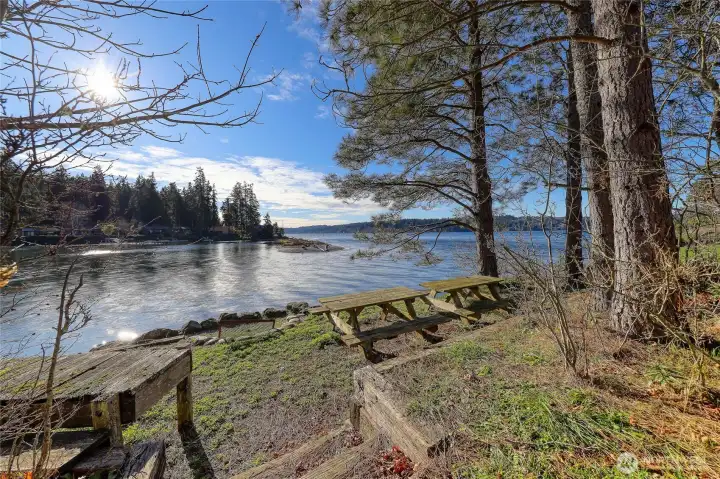 Picnic Tables and Beach Space