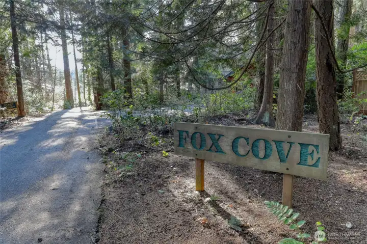 The Fox Cove