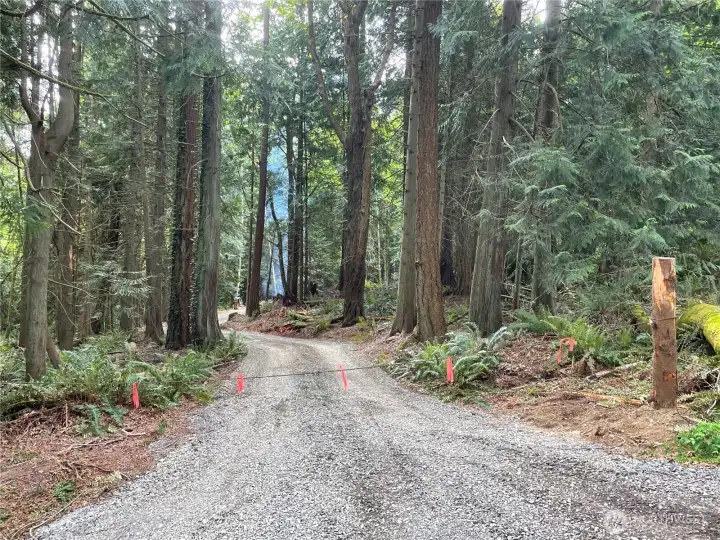 Level gravel access through tranquil and private forest.