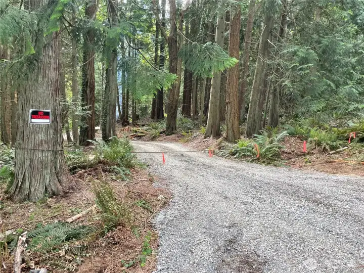 Level gravel access through tranquil and private forest.