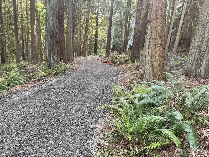 Level gravel access through tranquil and private forest.