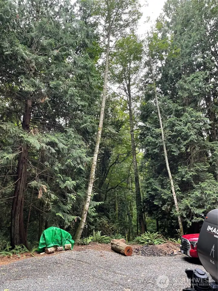 Large level pad for camping or potential homesite.