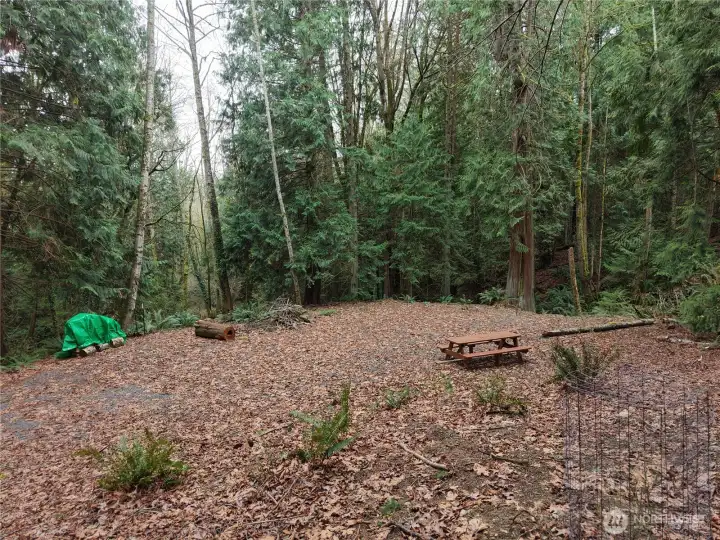 Large level pad for camping or potential homesite.